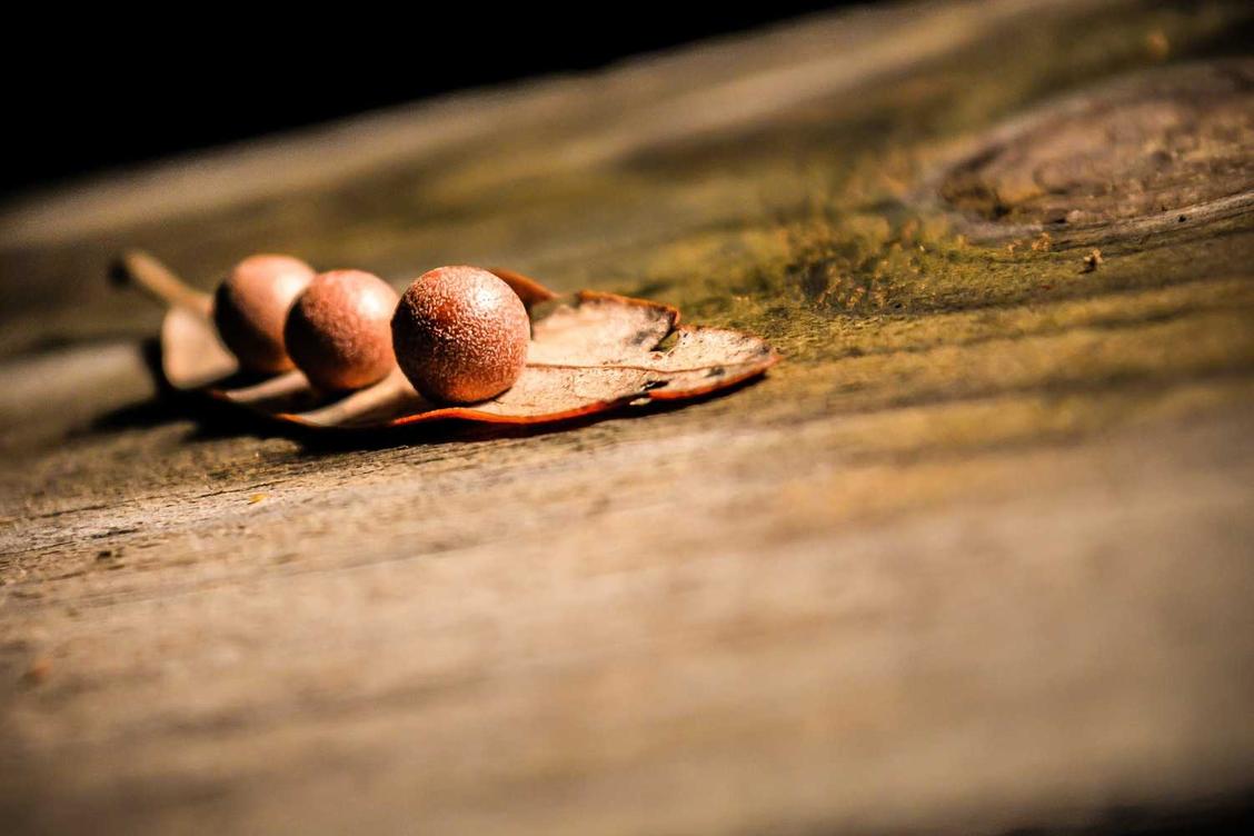 Odit nulla nulla aut minus voluptas